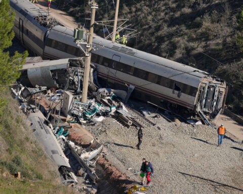 Recovery of missing dog Boro brings hope after Spain's train crashes