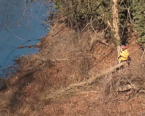 Man charged with murder after confessing to stabbing boyfriend, dumping body in park