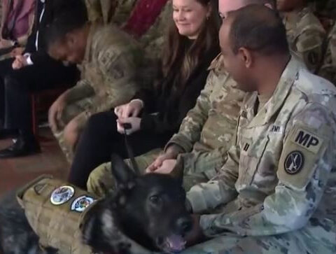 Pentagon's most recognized military working dog retires