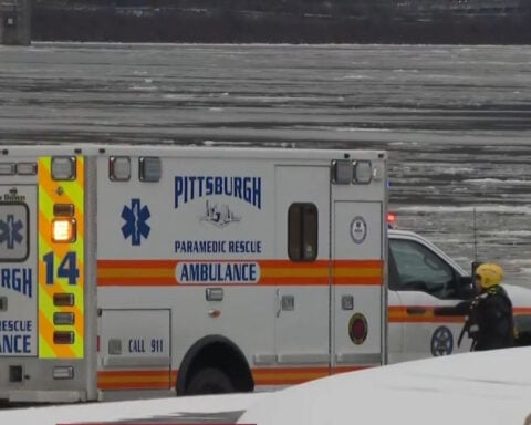 Man brings stolen $30K harp to Point State Park before jumping into river, police say