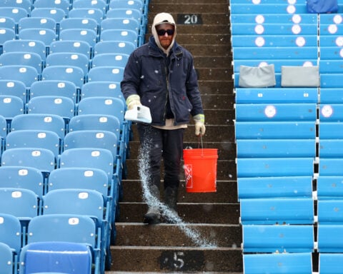 To clear ice and snow, there are rock salt alternatives that are safer for your pets and yard