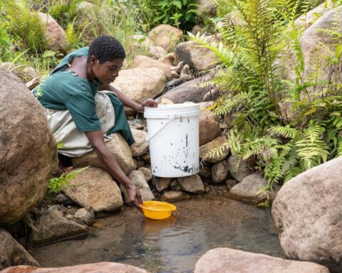 Malawi rolls out cholera vaccines as rains and floods raise the threat of deadly outbreaks