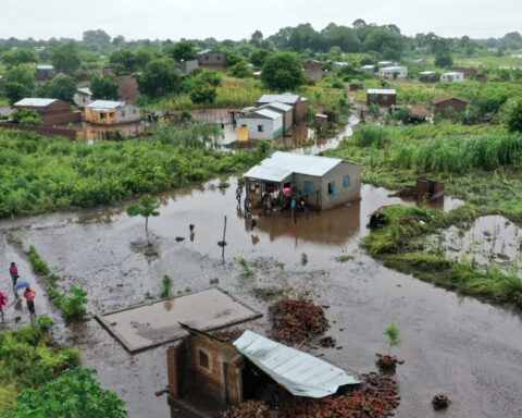 Floods push crocodiles into Mozambican towns as health concerns rise
