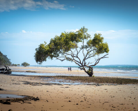 A teenager’s death on an untamed island has put the spotlight on its inhabitants