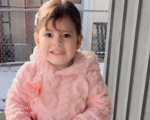 Minnesota toddler taken into ICE custody with father and flown to Texas is returned to mother next day, lawyer says