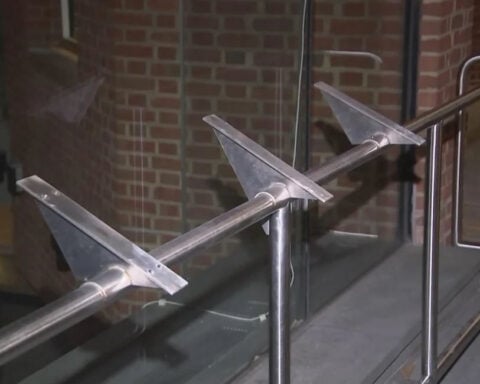 Slavery displays removed from historical site after Trump directive