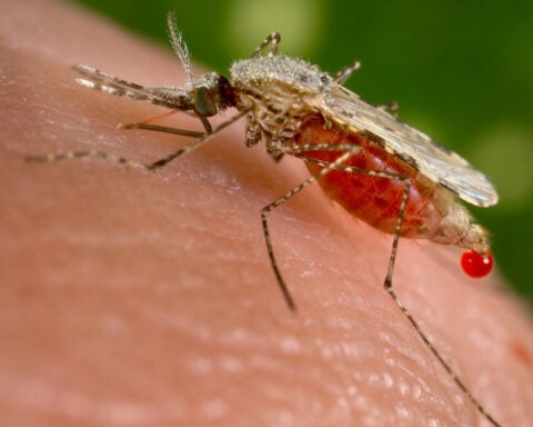 Malaria researchers are getting closer to outsmarting the world’s deadliest parasite