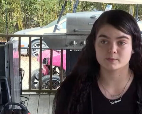 Survivor urges Georgia domestic violence registry