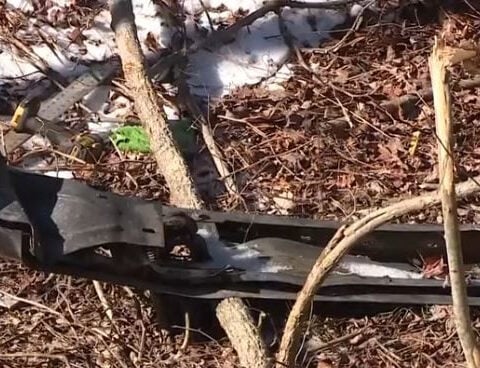 Beloved woman hit and killed during winter storm remembered for her passion to help cancer patients