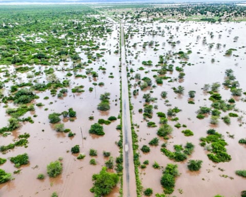 Climate change worsened rains and floods which killed dozens in southern Africa, study shows