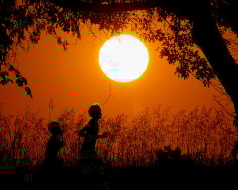 US life expectancy hit an all-time high in 2024, CDC says