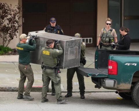 Mountain lion roams posh San Francisco neighborhood before being captured