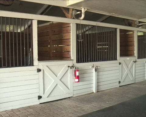 Horse manure haulers accuse municipalities of steering business to competitor