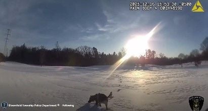 17-month-old K9 helps locate missing Michigan teen