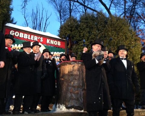 Groundhog Day Forecasts: Punxsutawney Phil Has Competition