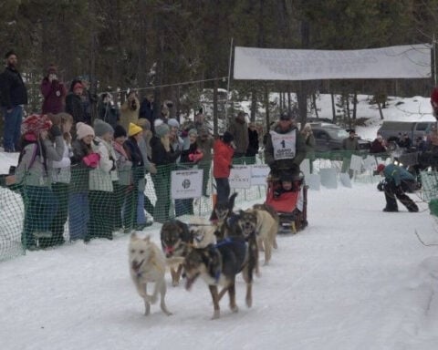Mushers and their dogs compete in the Warm Lake Stage Race