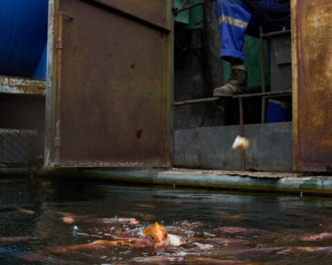 Cubans scramble to survive as US vise on island tightens in push to oust government