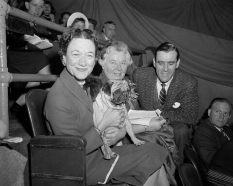 The Westminster dog show is turning 150. Here's what has — and hasn't — changed over time
