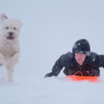 More winter weather leads to heavy snow, canceled flights and, in Florida, falling iguanas