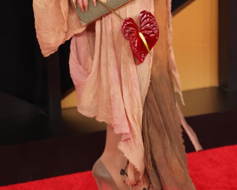 The most striking looks from the Grammys red carpet