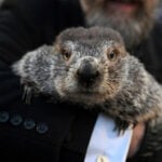 Groundhog Day puts Punxsutawney Phil's forecast about winter's length in the spotlight