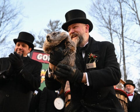 Punxsutawney Phil is said to have seen his shadow, forecasting 6 more weeks of wintry weather