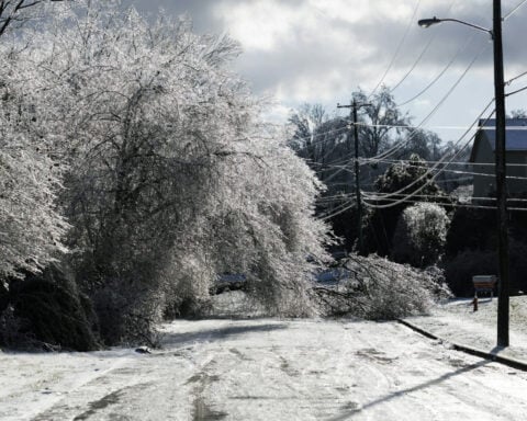 Data centers told to pitch in as storms and cold weather boost power demand