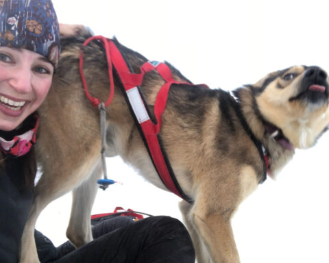The fun and furry world of sled dog racing keeps barking, despite not being in the Winter Olympics