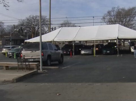 Cat missing for nearly a year found in Raymore, reunited with owner thanks to microchip