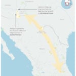 Agave or bust! Mexican long-nosed bats head farther north in search of sweet nectar