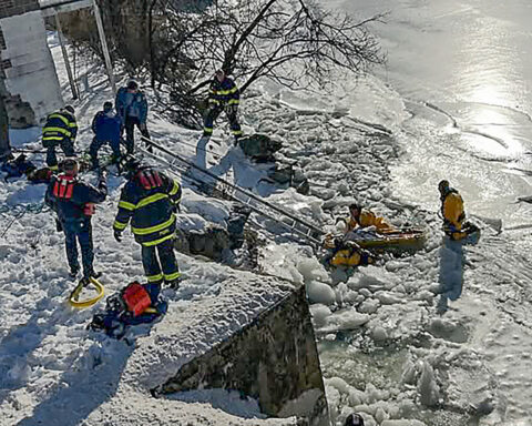 Firefighters rescue swan stuck in frozen Connecticut river
