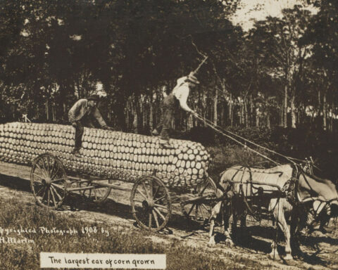 Long before AI, photos already lied to us