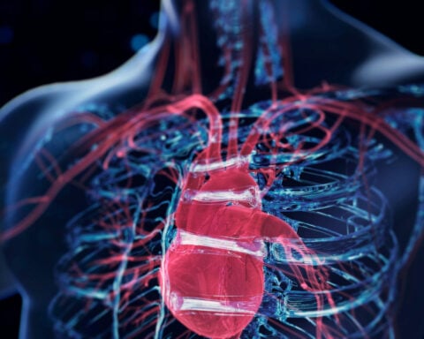 Overactive immune cells can worsen heart failure – targeting them could offer new treatments