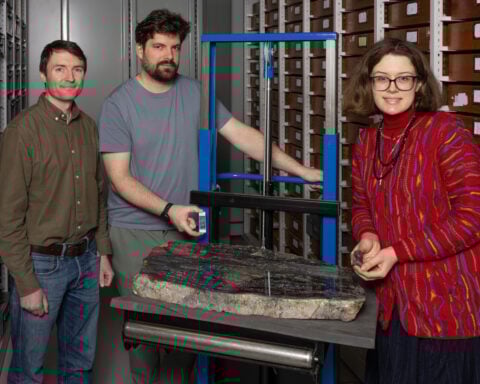 The largest life-form on land 400 million years ago was one that scientists can’t explain