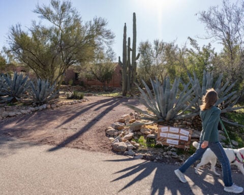 Savannah Guthrie posts video pleading for mother's safe return