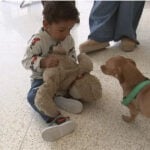 A Los Angeles dog and a Philadelphia toddler share this unique bond