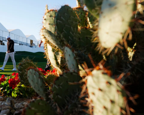 Pair of flubbed chips leave Scottie Scheffler in danger of missing the cut at Phoenix Open
