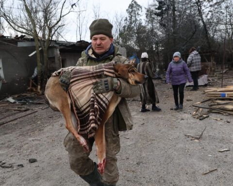 Zelenskyy says Ukrainian air force needs to improve as Russian drone barrages take a toll