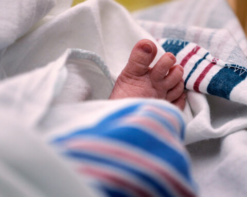 US births dropped last year, suggesting the 2024 uptick was short-lived