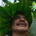 Seed guardians of the Amazon: A family's solitary fight to save endangered plants