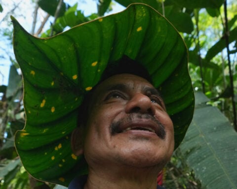Seed guardians of the Amazon: A family's solitary fight to save endangered plants