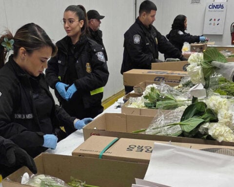 Valentine flower imports increase at Miami airport, despite tariffs and higher costs, officials say