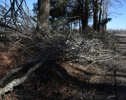 Mississippians near two weeks without power after winter storm