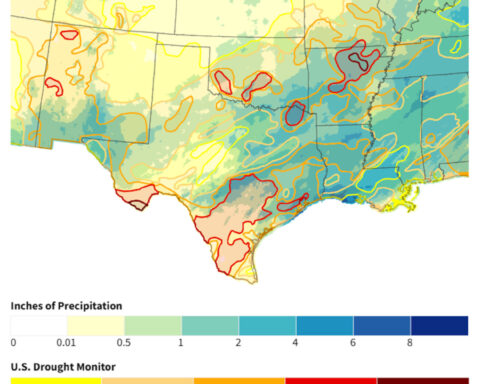 Sixth year of drought in Texas and Oklahoma leaves ranchers bracing for another harsh summer