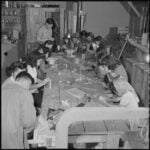 Held captive in their own country during World War II, Japanese Americans used nature to cope with their unjustified imprisonment