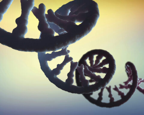 RNA is key to the dark matter of the genome − scientists are sequencing it to illuminate human health and disease