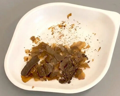 Scientists find first physical evidence that Romans used human poop as medicine