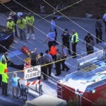 Manatee successfully rescued after being trapped in a storm drain under road