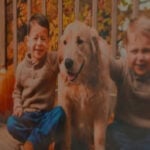 Steakhouse opens hearts and doors for dog's final meal