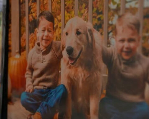 Steakhouse opens hearts and doors for dog's final meal